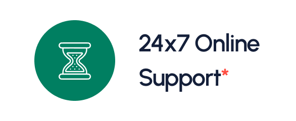 24x7 Online Support